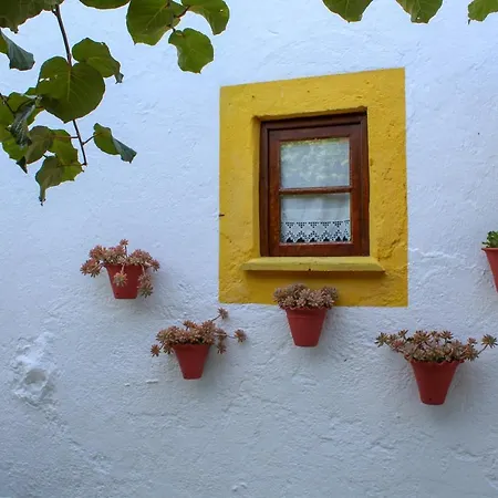 Πανσιόν Quinta De Vale Escuro Lousã