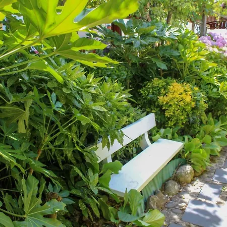 Quinta De Vale Escuro بيت ضيافة *