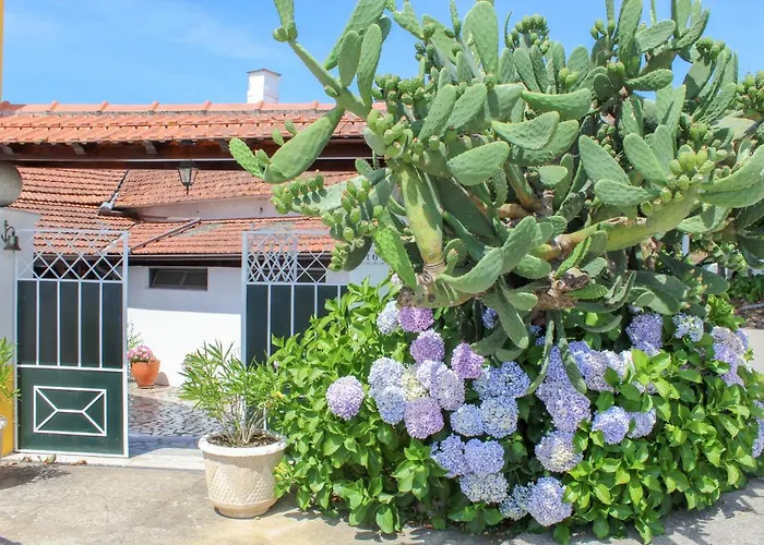 Casa de hóspedes Quinta De Vale Escuro Lousã